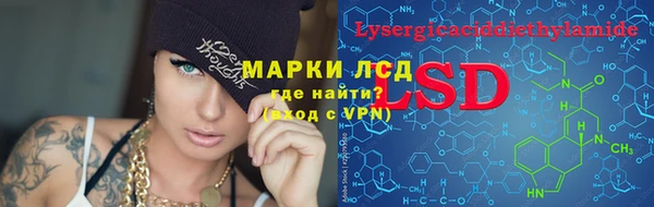 сатива Киров