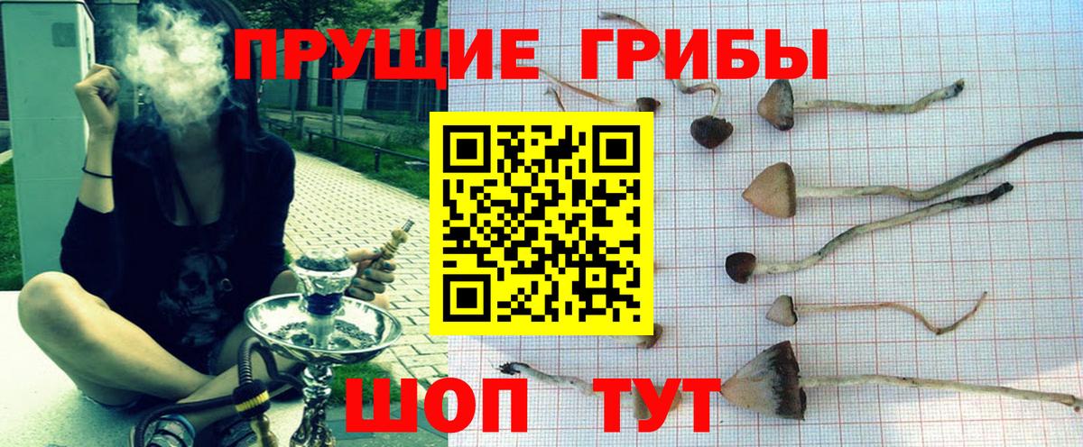 Галлюциногенные грибы Psilocybe  Вход с VPN  где можно купить   Чита 
