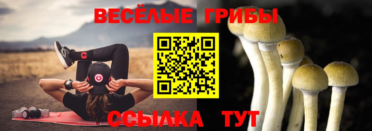 Псилоцибиновые грибы прущие грибы Чита